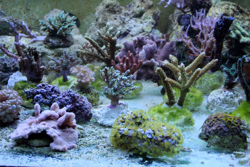 Killikus® Fotographie Killikus® Fotographie